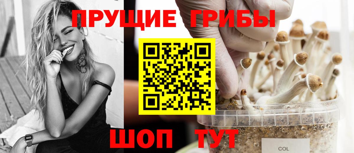 Псилоцибиновые грибы ЛСД Кунгур
