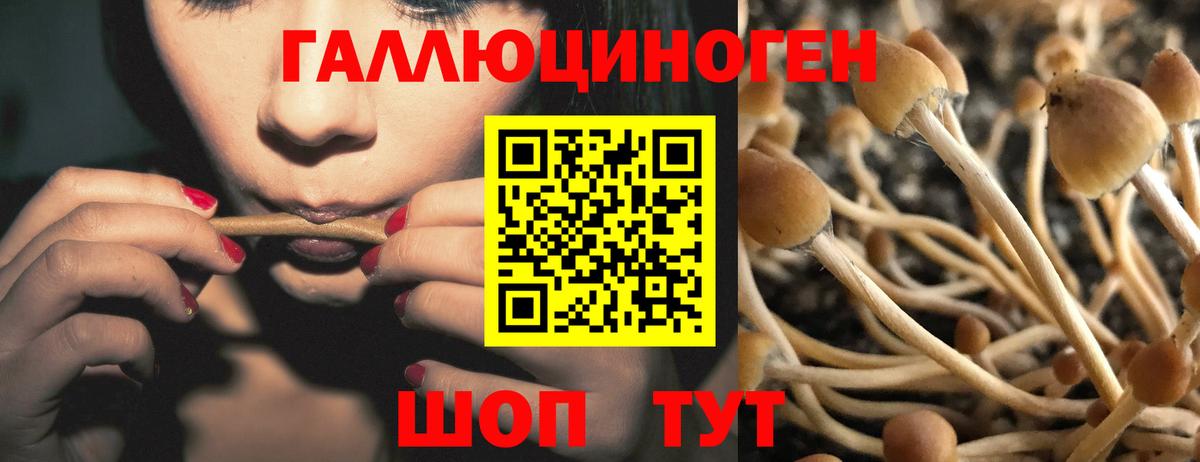 Галлюциногенные грибы MAGIC MUSHROOMS  Галлюциногенные грибы ЛСД  Вход с VPN  Кунгур 
