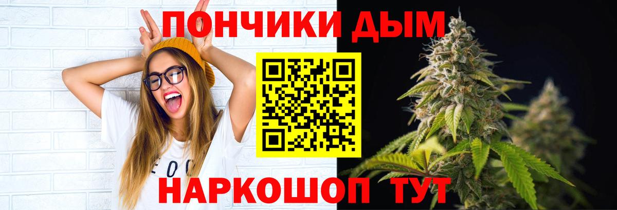 Кунгур  Канабис сатива  Бошки Шишки Amnesia  Шишки марихуана планчик  Вход с VPN 